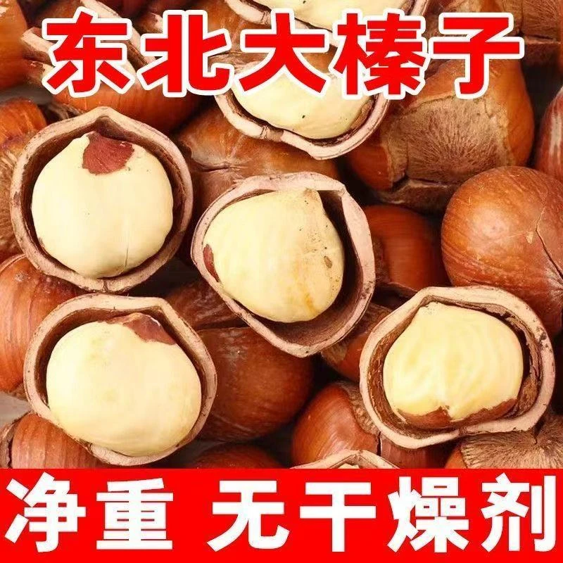 25年东北铁岭新鲜大榛子薄皮肉厚铁岭野生大榛子炒货坚果零食