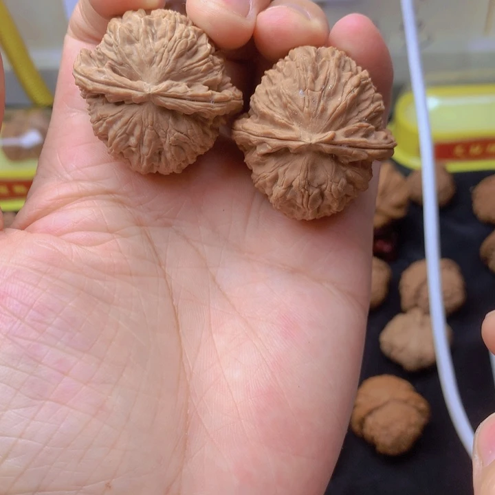 文玩核桃把件白狮子