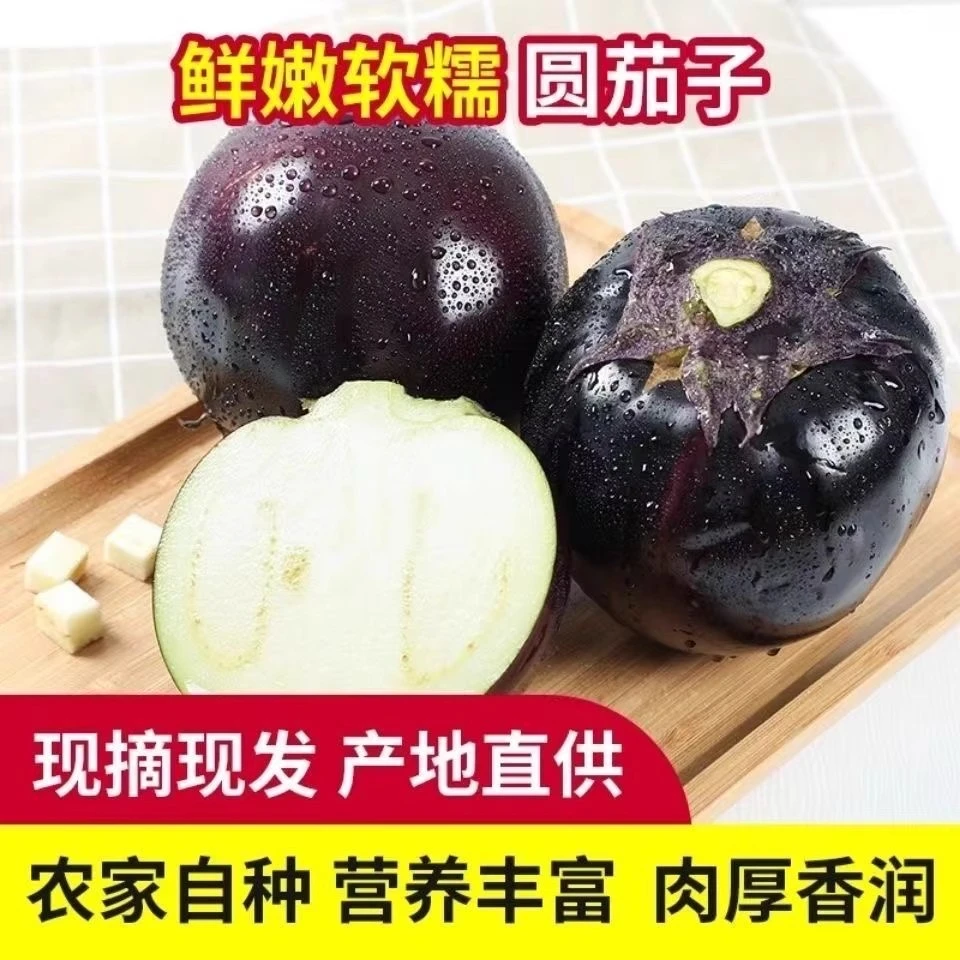 圆茄子新鲜现摘山东时令蔬菜紫光黑皮茄子农家自种自然成熟