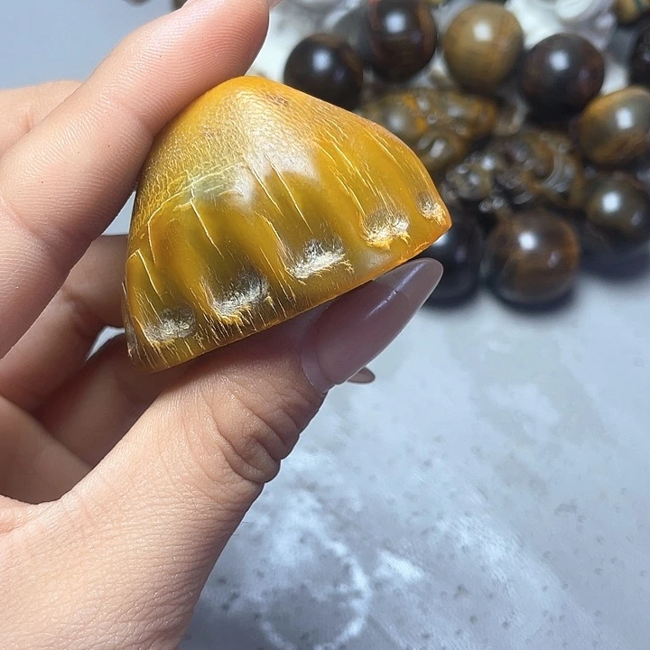 大果紫檀（缅甸花梨）