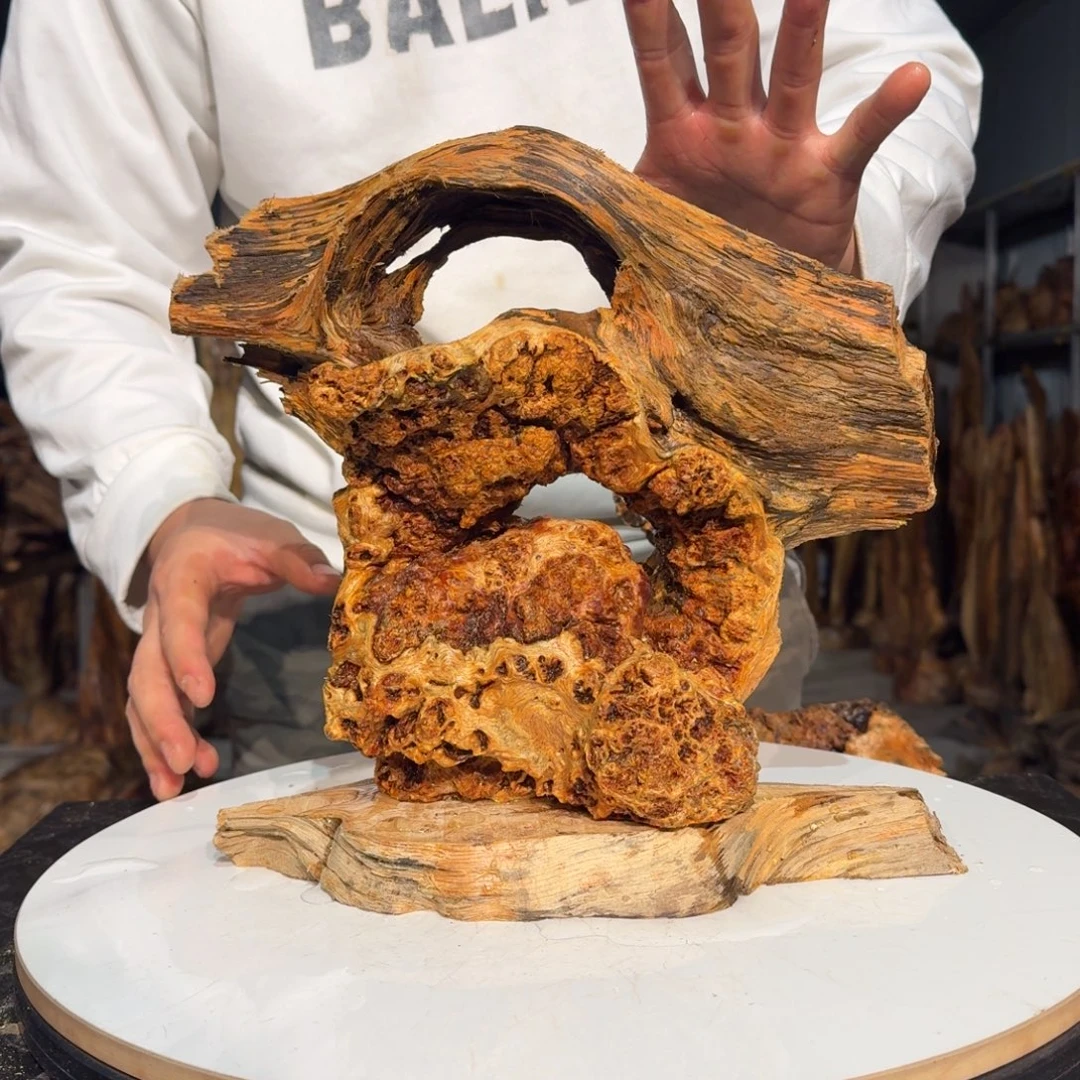 岭***忆木佳木琥珀木摆件6