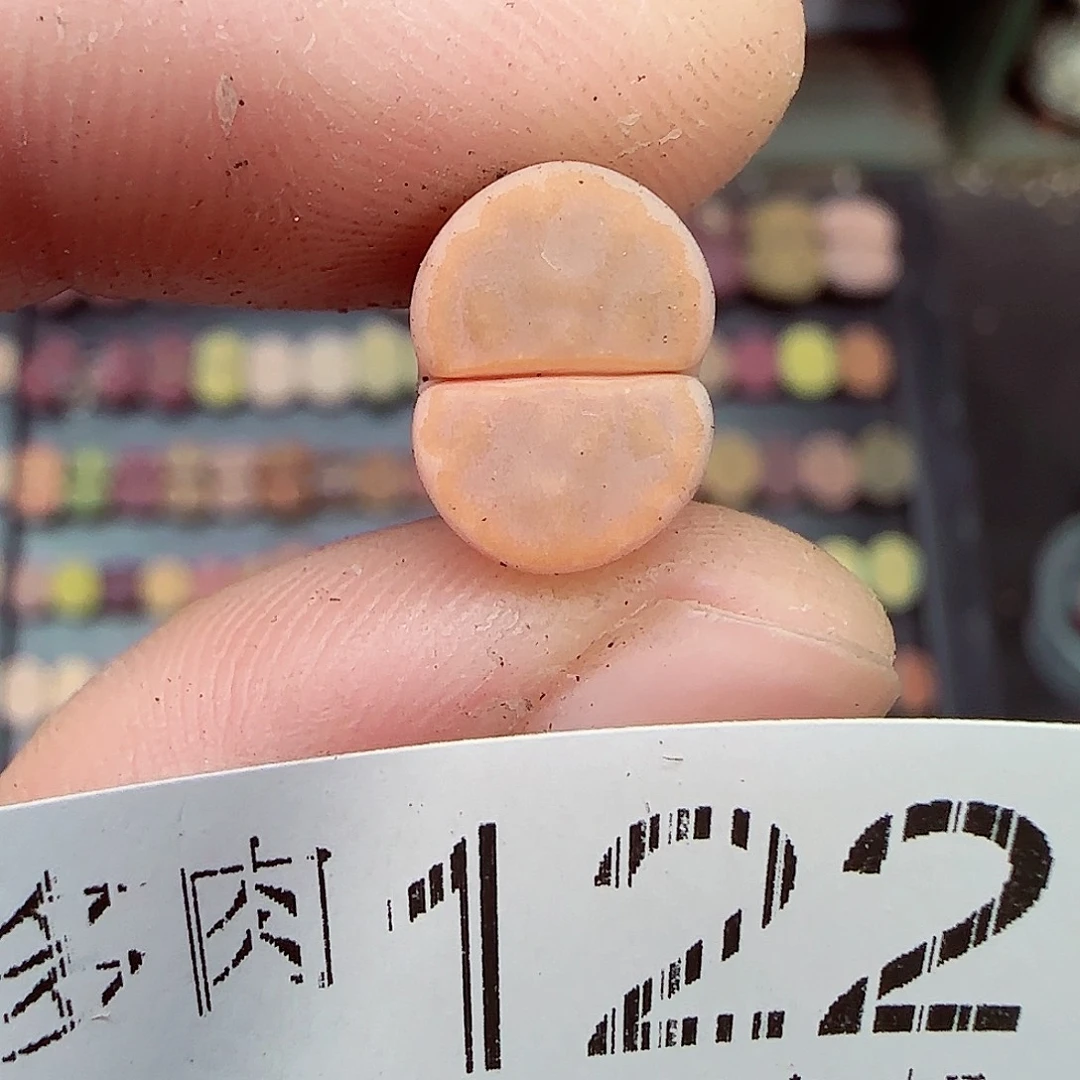 满满18包邮1230-122