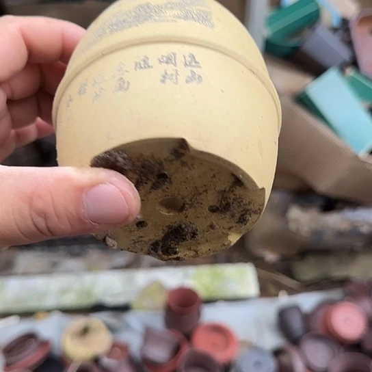 你要吃好睡的多一点儿了