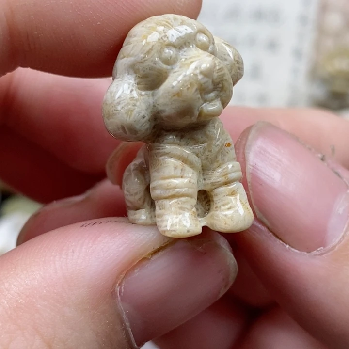 颈饰未镶嵌硅化珊瑚（珊瑚玉）用****1小