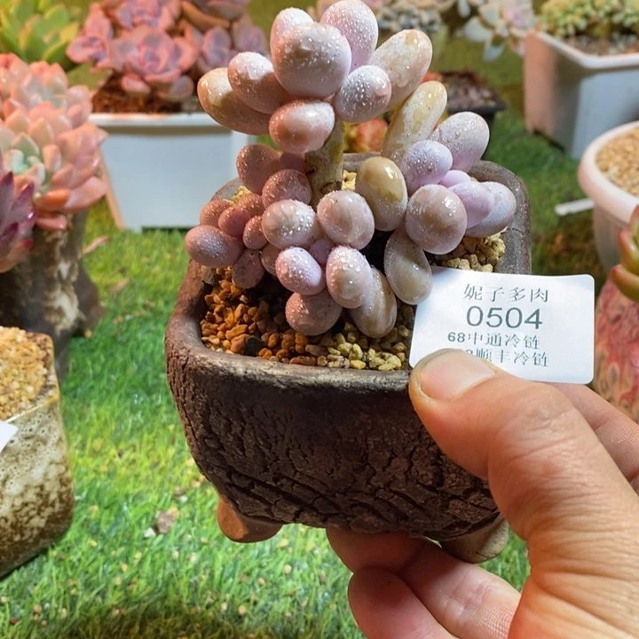 0504啊啊啊啊啊啊啊啊啊啊