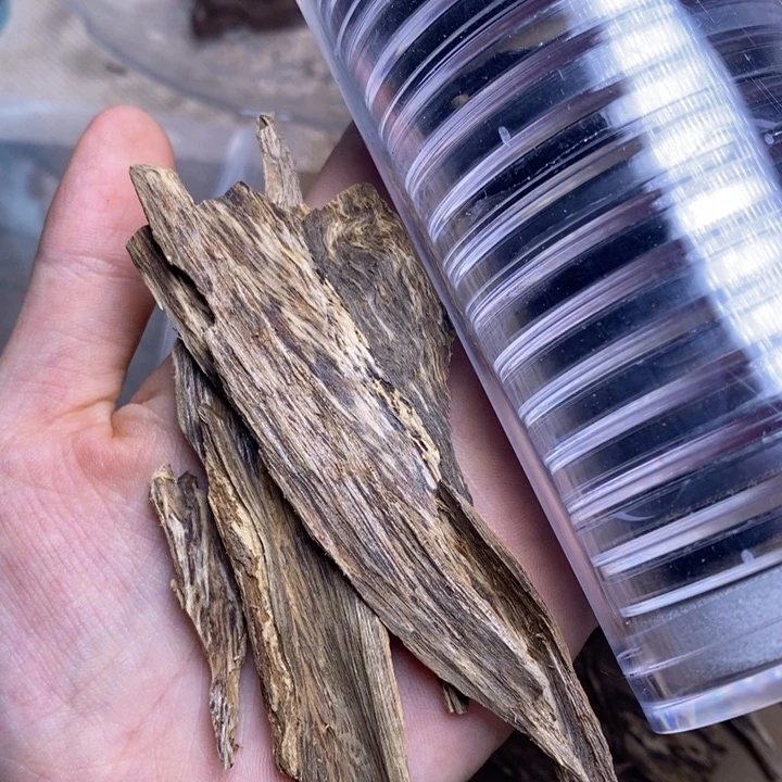 根部。                   2克