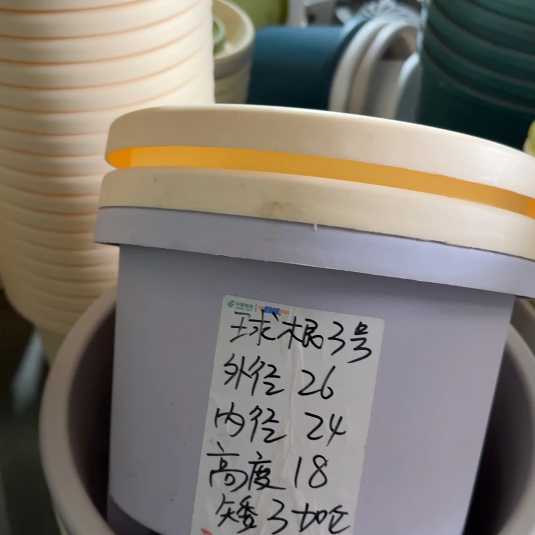 球根3#口径26无拖灰白6个