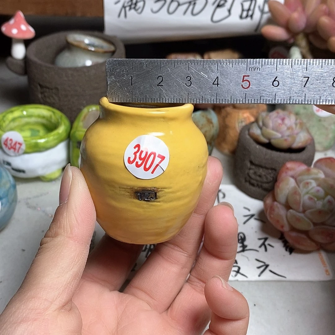 红陶拍5送一个小