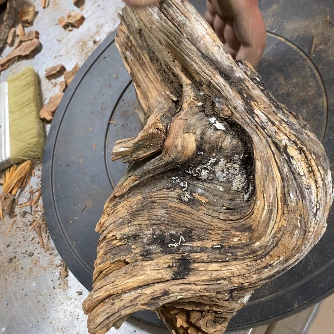 柏木海****3我们都是好孩子