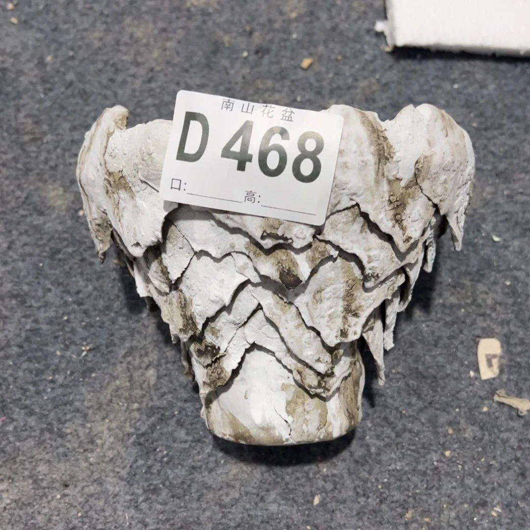 南山花盆一物一拍