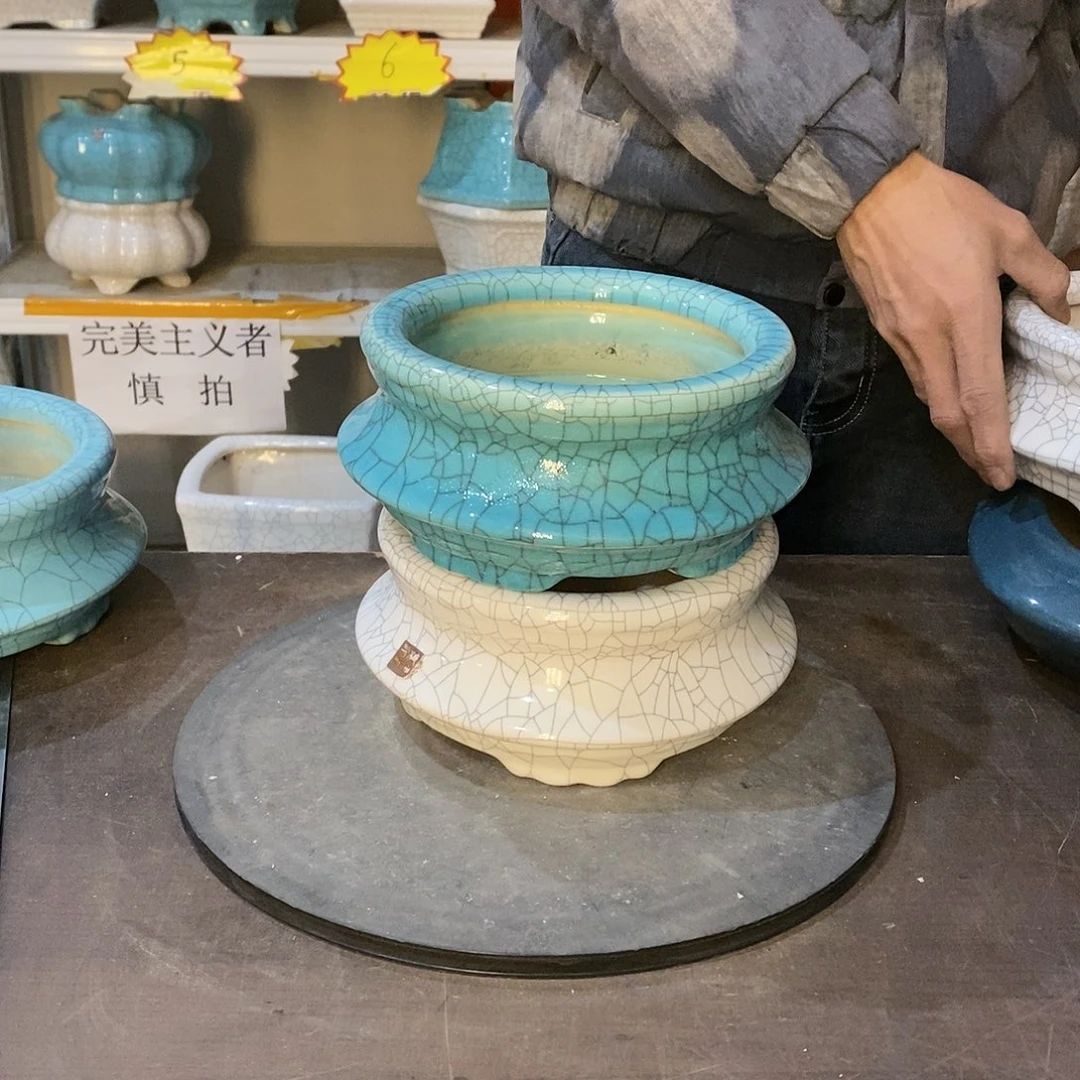 花盆花盆里放满鲜花