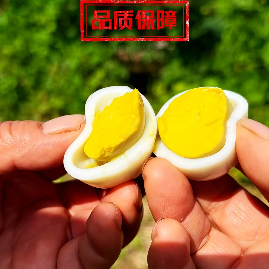 正宗农家散养大个土鸡蛋谷物喂养新鲜营养顺丰包邮（50枚）