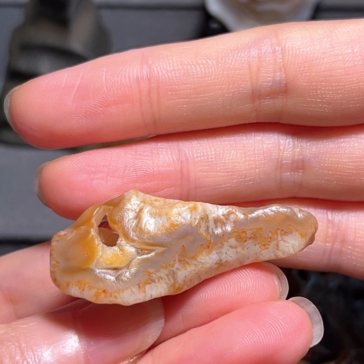 石材楚**石天然孔金鱼福利