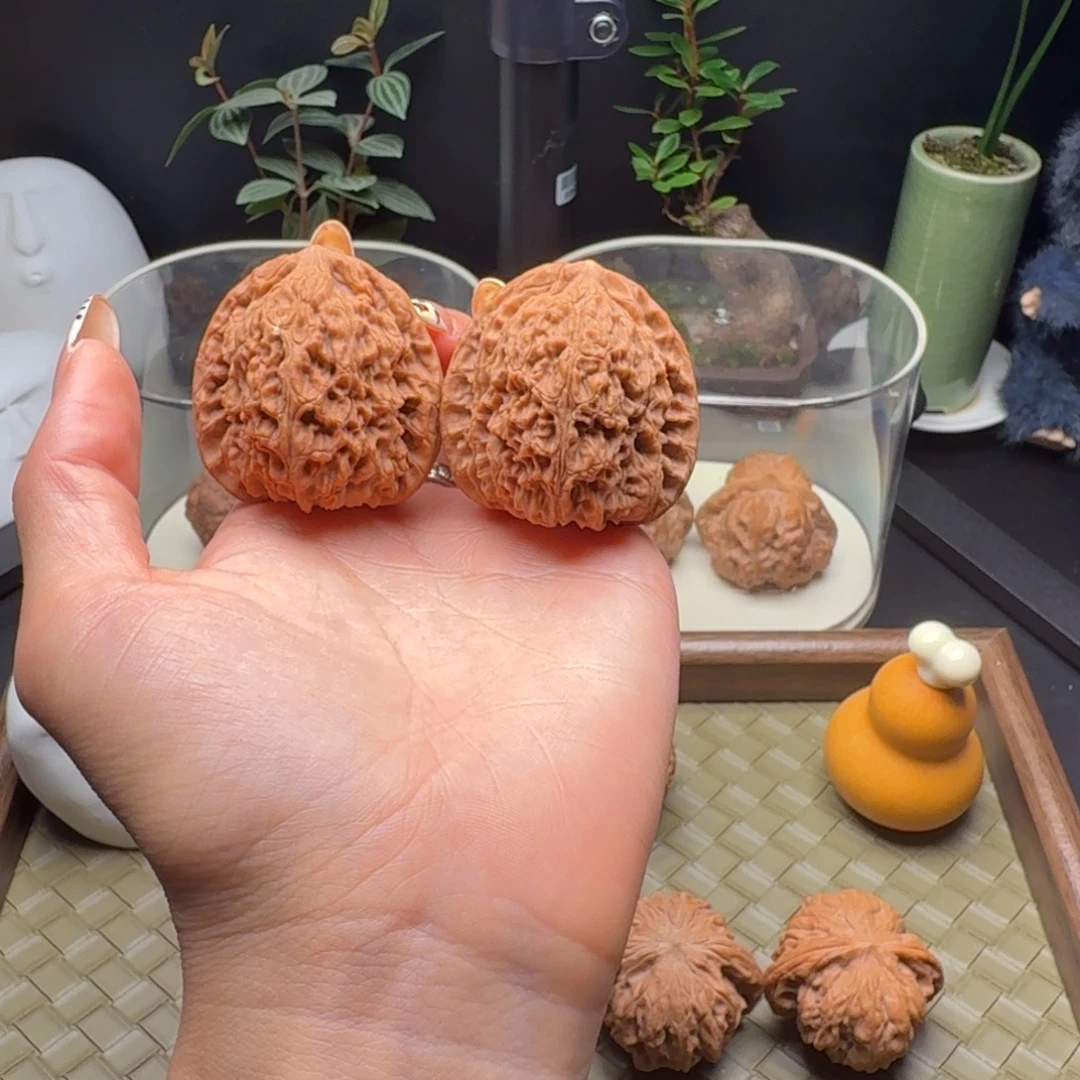 吊坠龙脊菩提南疆