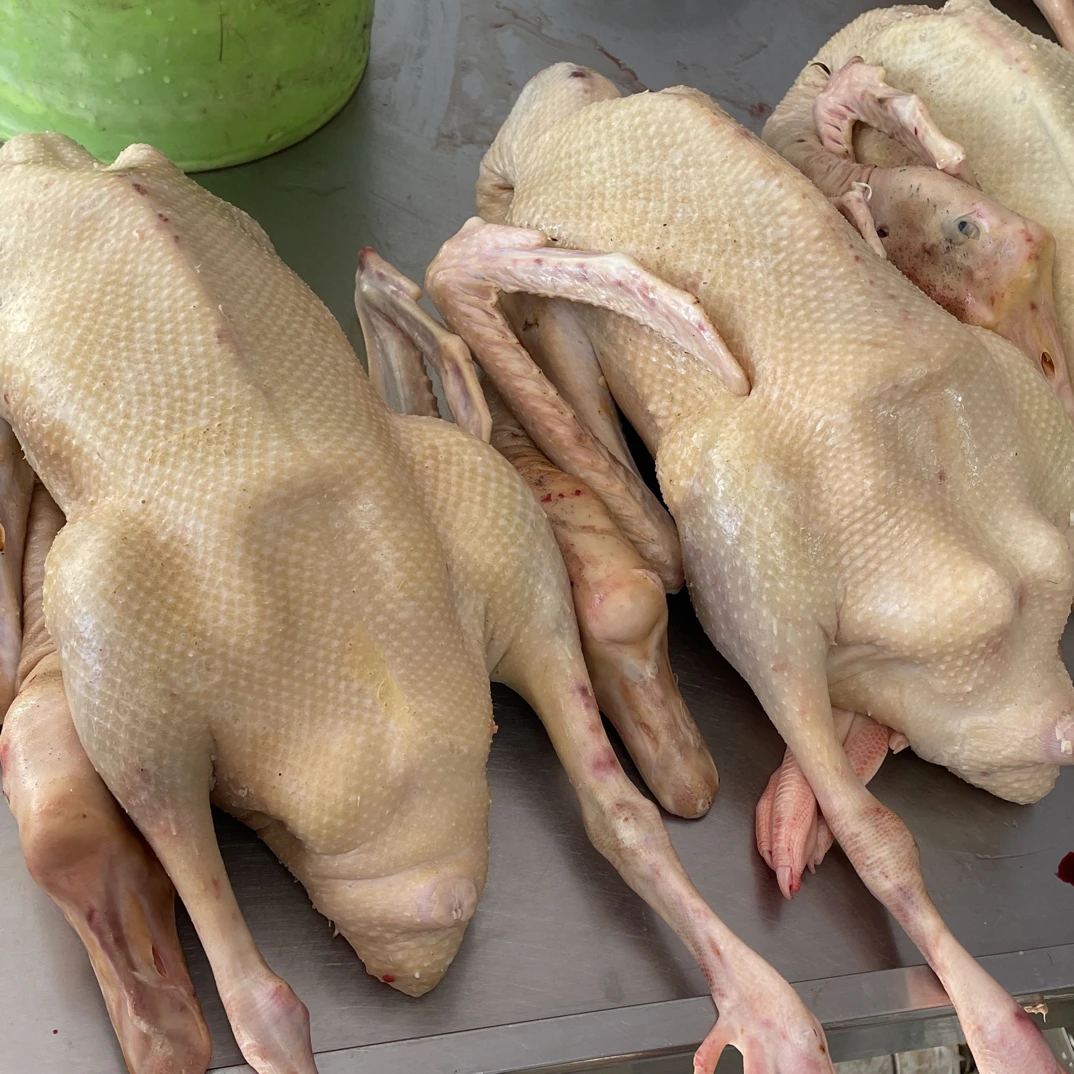 农家散养大白鹅大鹅整只售卖鲜嫩可口适合铁锅红烧