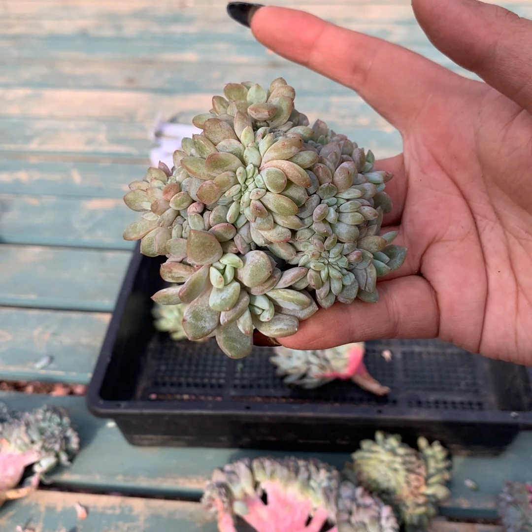 哈哈哈哈哈哈哈哈6