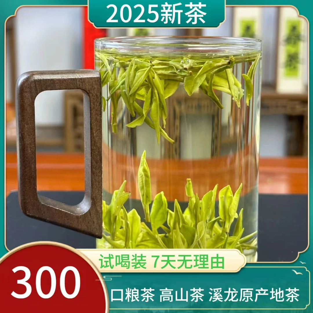 【招牌门面】Y02级 2025年高性价比“真香”鲜爽安吉白茶