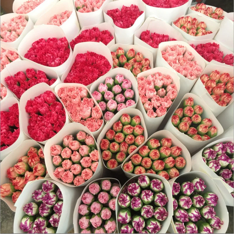 鲜花云南直发康乃馨基地水养花束昆明生日鲜花花束仪式感节日