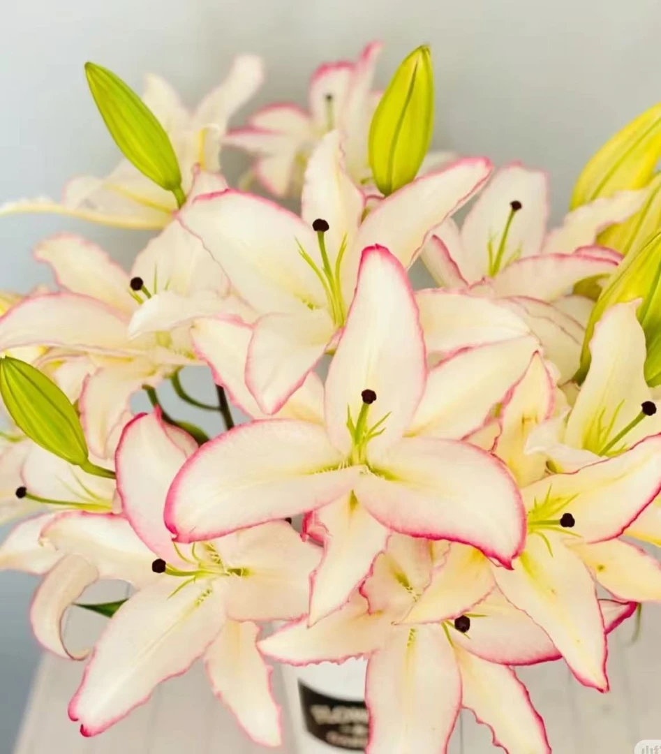 《稀有》唇彩香水百合