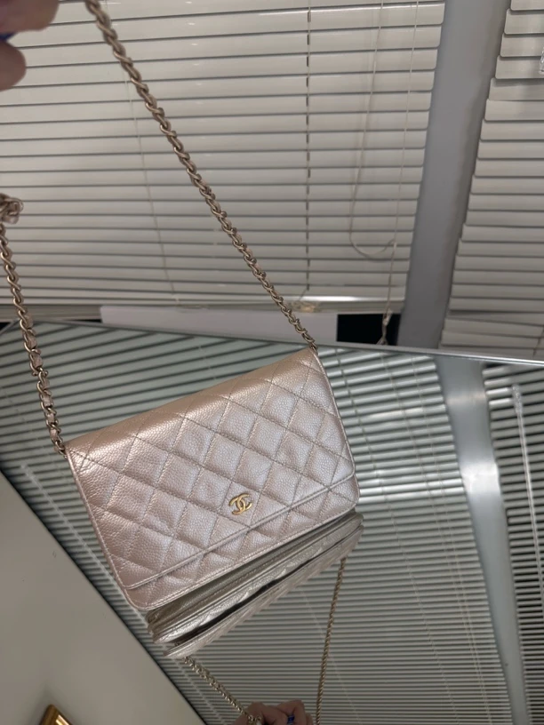 95新 Chanel/香奈儿 发财wco珠光色斜挎发财包
