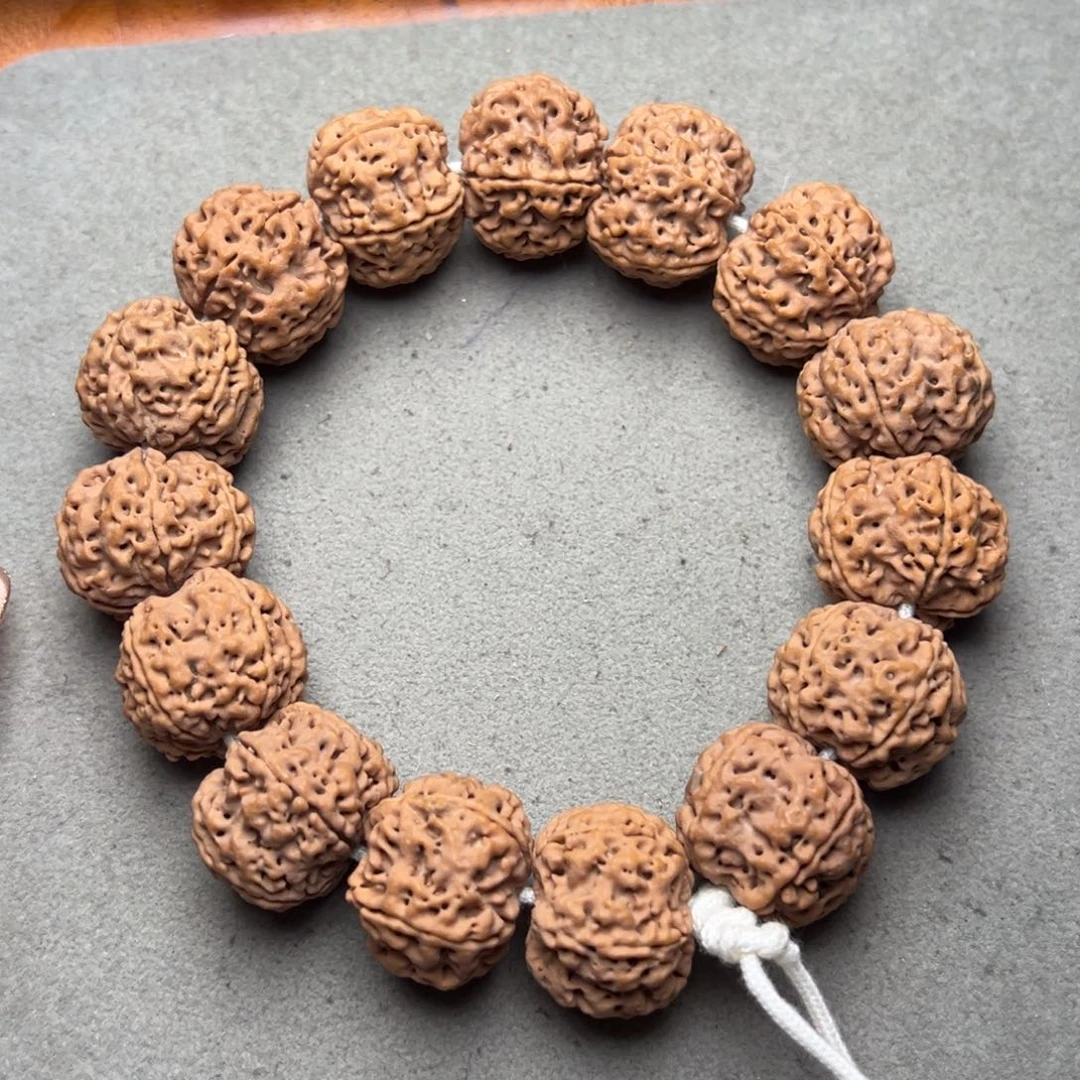 菩提27号金刚菩提豆腐块22