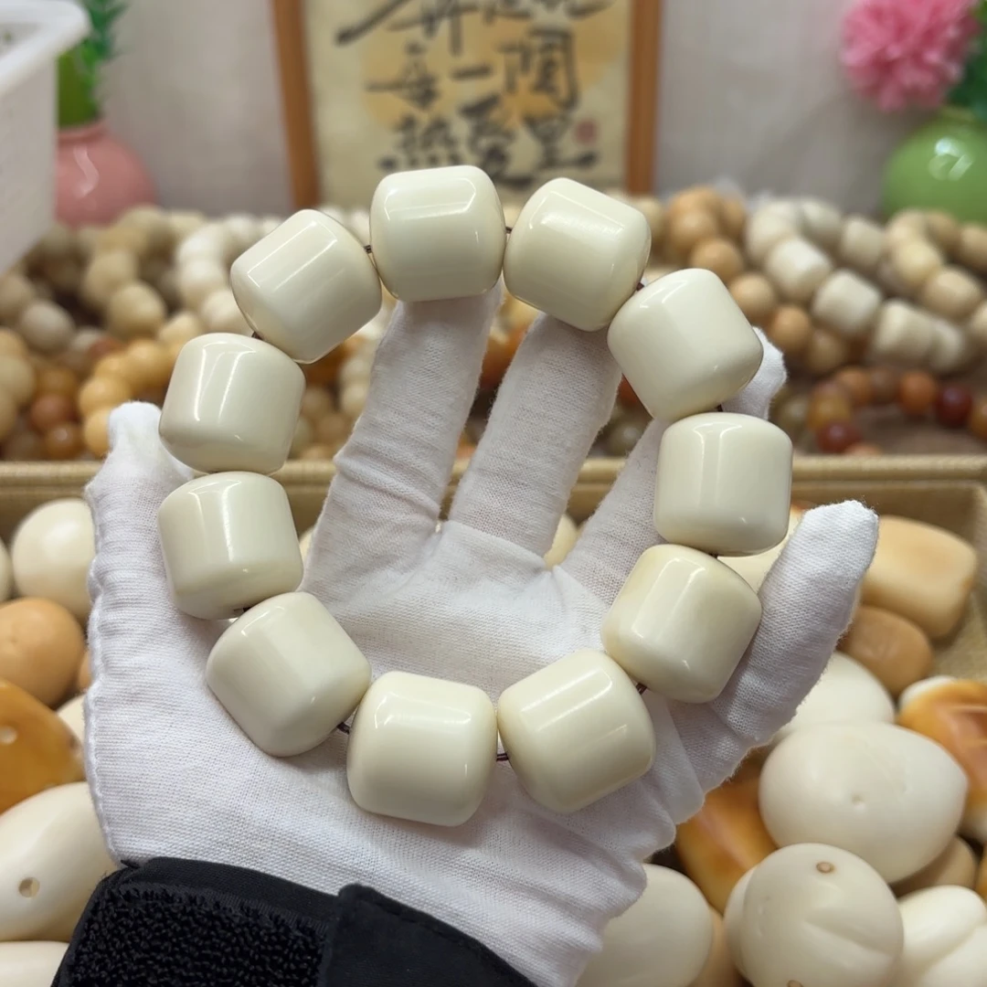 吊坠菩提根/象牙果牙果大瑕疵干磨560
