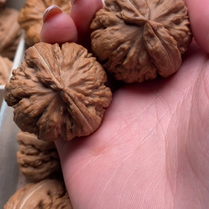 山***依霸王龙全品无修一刀没动