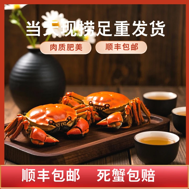 （活蟹）辽河大闸蟹公蟹3.4-3.6两10只绑绳装