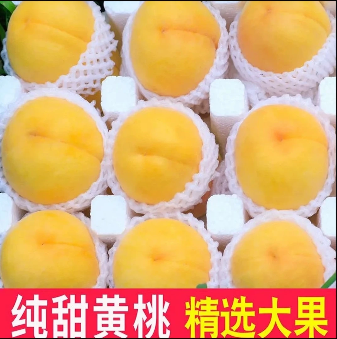 【京东/顺丰】头茬现摘山东蒙阴黄桃蜜桃现摘现发脆甜新鲜