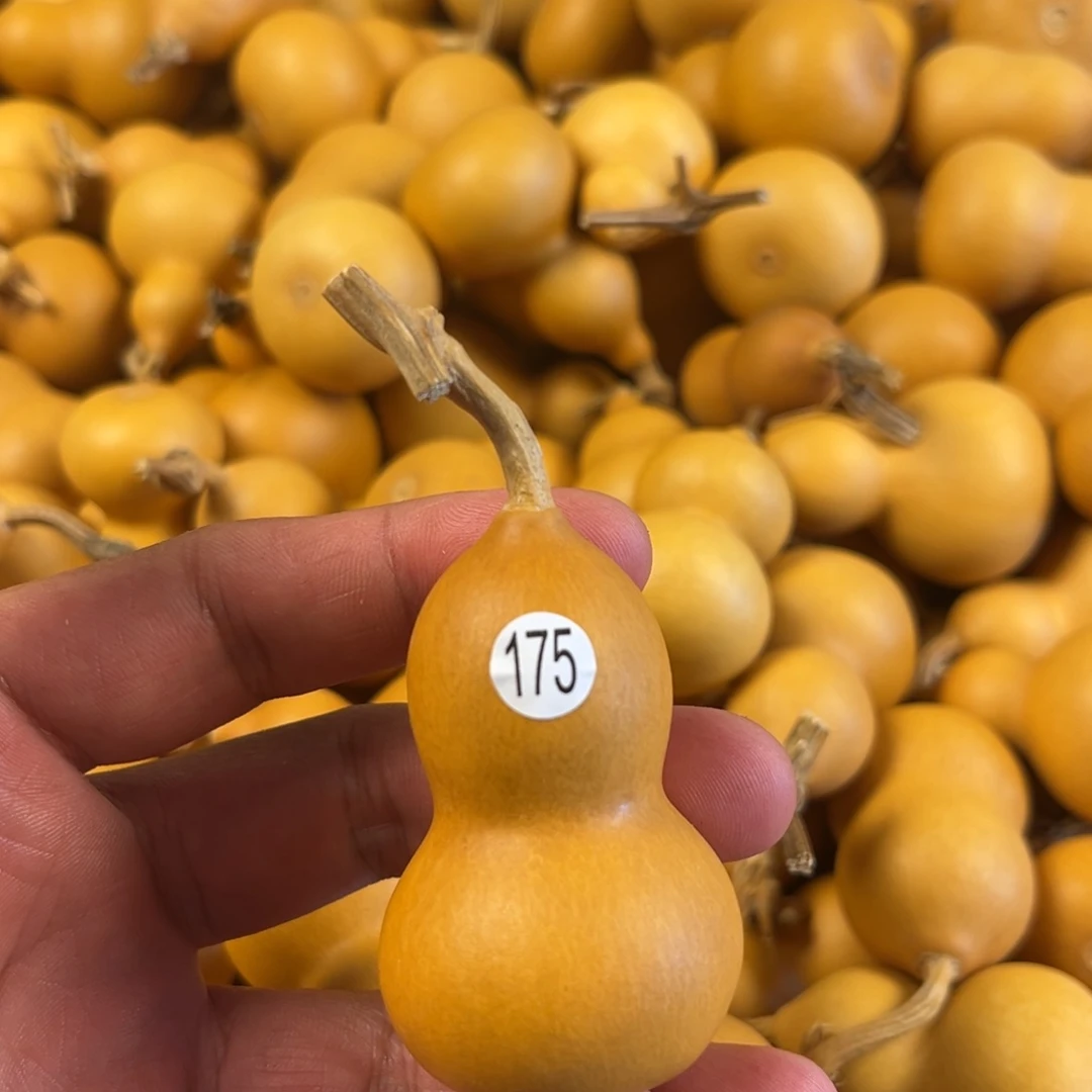 六葫芦葫芦葫芦葫芦175