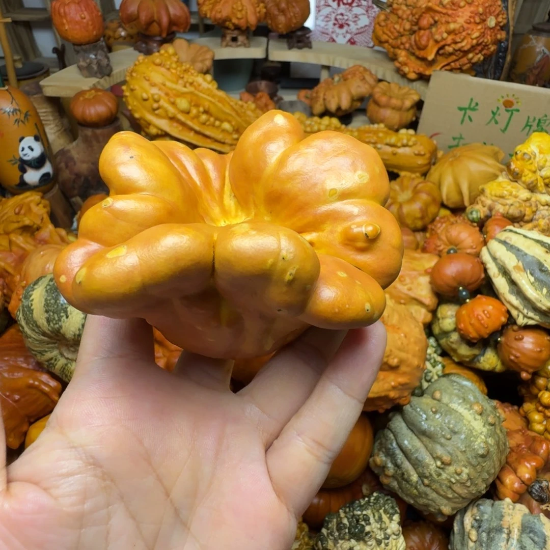 往***生特价瑕疵葫芦不退不换