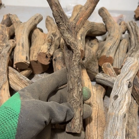 大果紫檀（缅甸花梨）紫****）