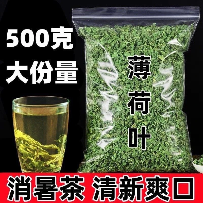 新货薄荷叶泡水新鲜食用清凉茶叶泡茶清新胎菊口气醒脑可搭胎