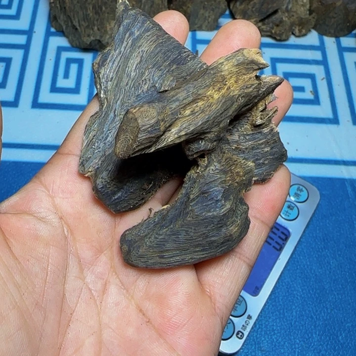 木虎斑奇老料17克