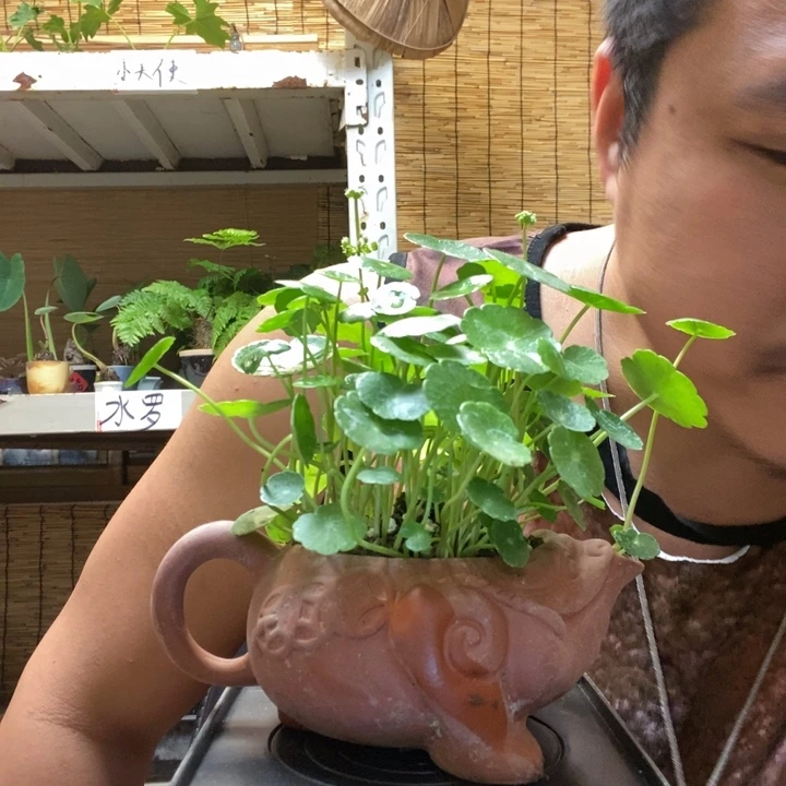 妘*一物一拍所见即所得276