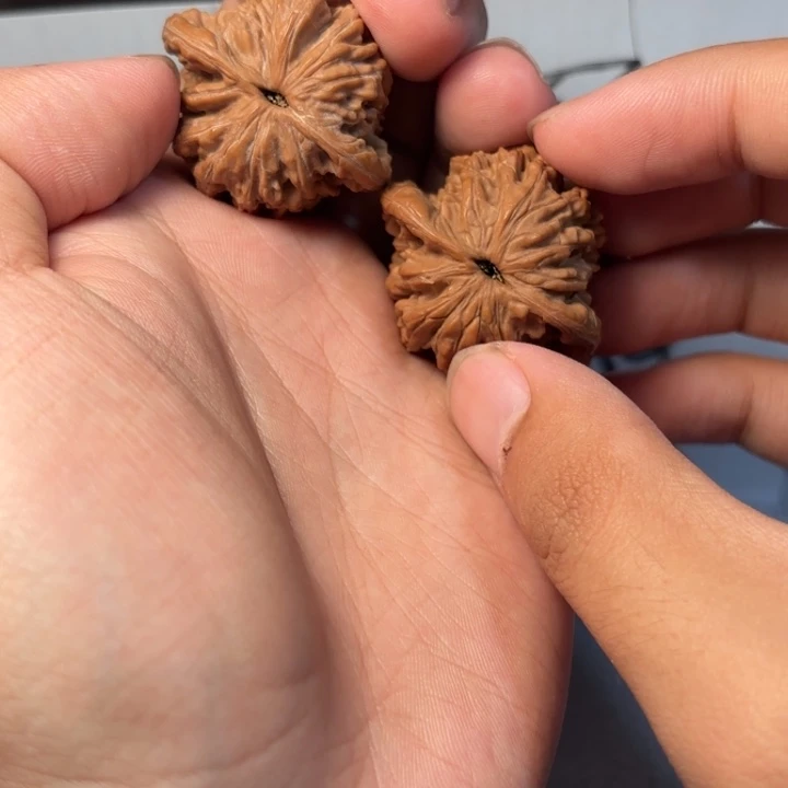 S***W核桃哈哈哈哈哈哈哈