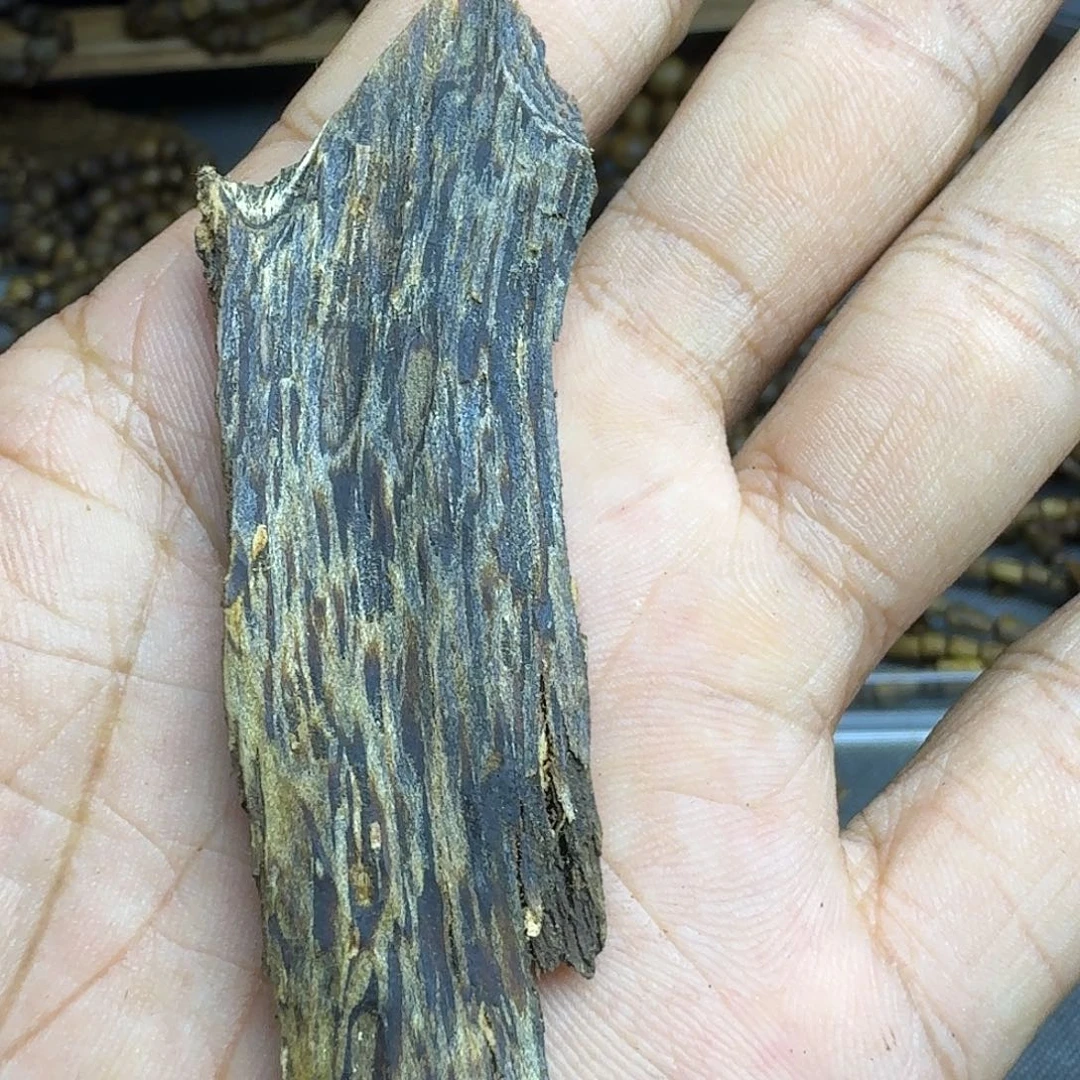 树脂制品海南野料皮油原材料