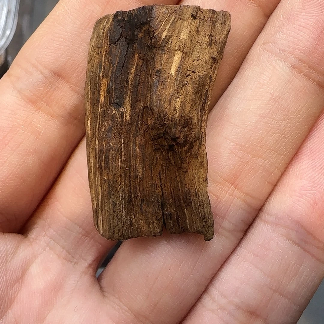 沉香沉香碎屑3.6克富森红土FO-01