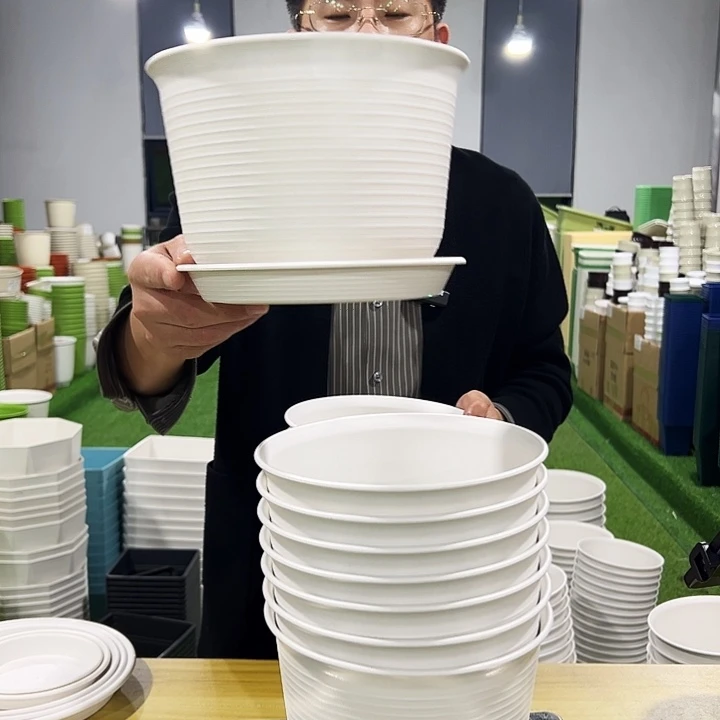 正品矮陶口21高15白色8只带托