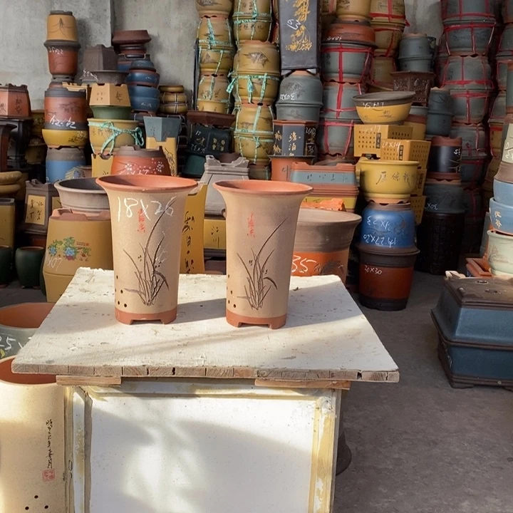 紫砂花盆盆栽花卉苗木种植