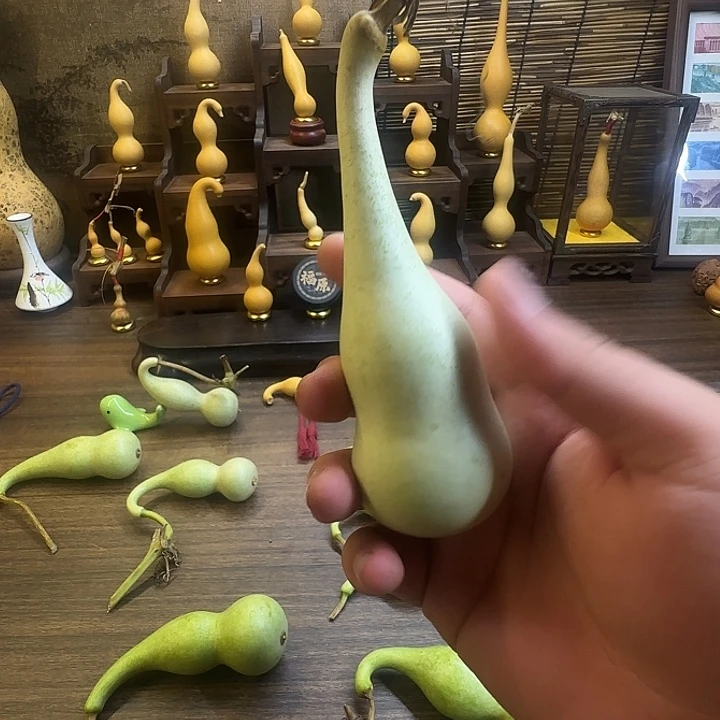 小***儿大叶紫檀（黑酸枝木类）