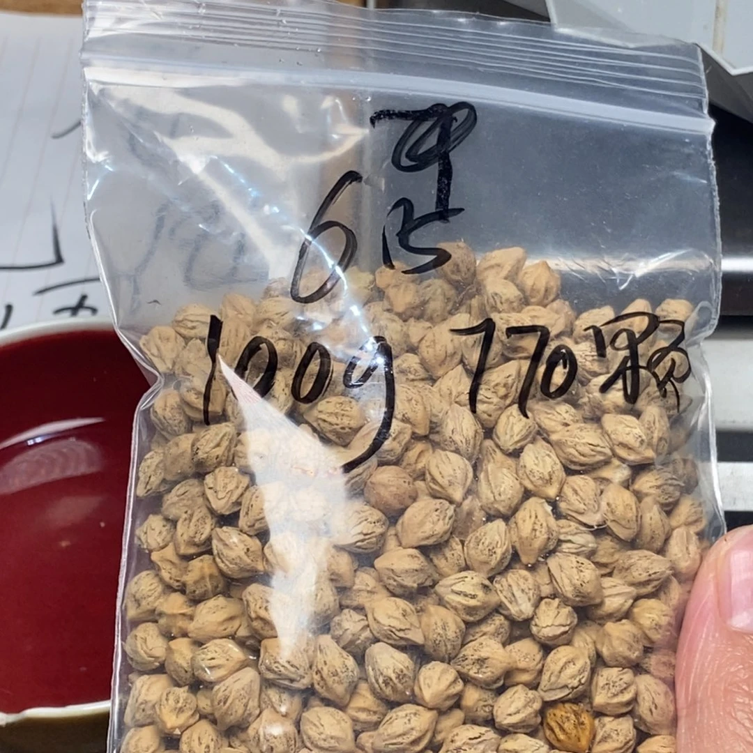 柏香籽/百香籽吊坠