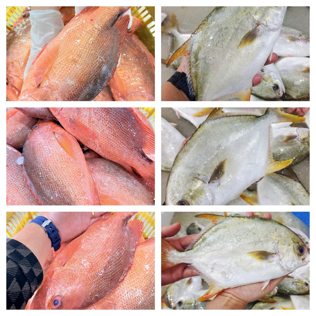 年货海鲜套餐 3条6-7两金鲳鱼+2条1.4-1.8斤大红鱼 顺丰包邮 茂名