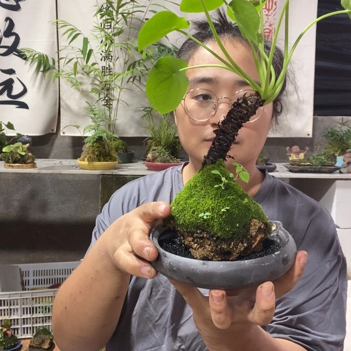****c无花朵一物一拍84