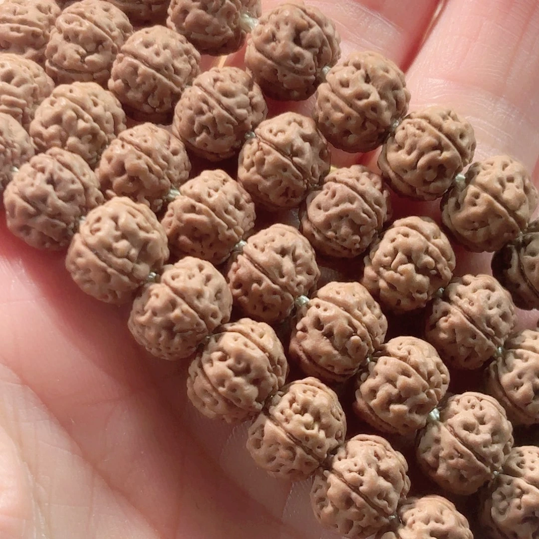 l***7印度尼西亚小金刚勿里达纯血老树王长串