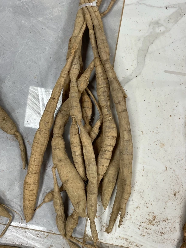 现挑现称牛大力 以直播间现称为准