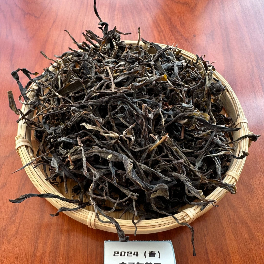 24年-曼松王子山大树核心地块-散茶