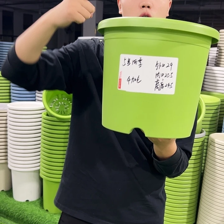 特价5号口29高24.5白色5只无托