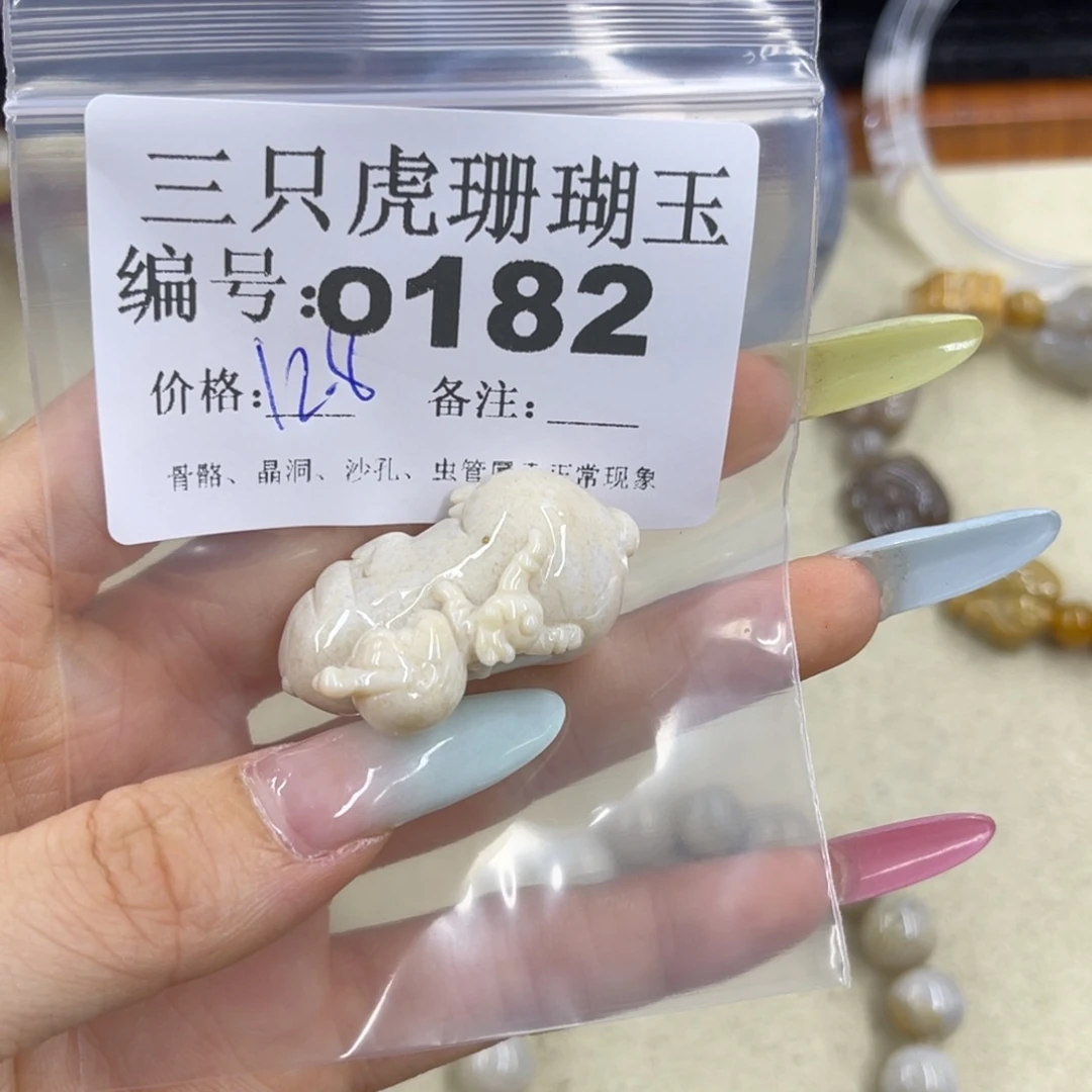 小***菇硅化珊瑚（珊瑚玉）h未镶嵌