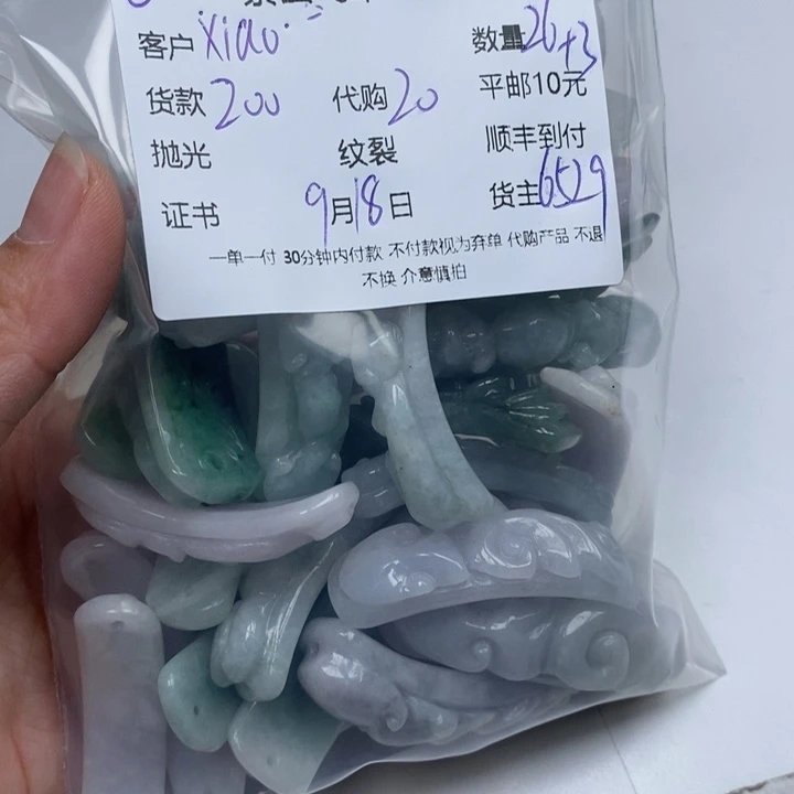 x***-颈饰未镶嵌翡翠翡翠